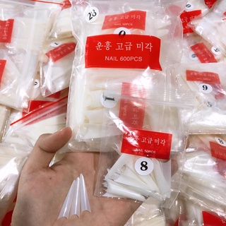 Móng nối fom nhọn, móng típ fom nhọn dài