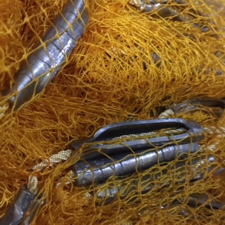 Chài dù bắt tôm tép cá