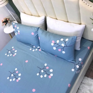 Set Ga-Vỏ gối cotton 100%