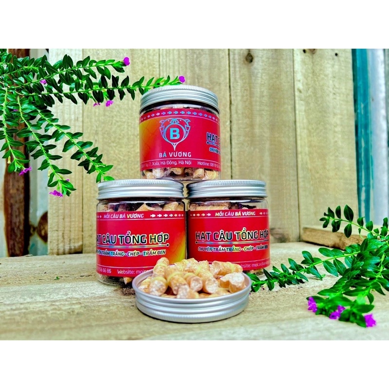 Lọ hạt xả câu trắm đen Bá Vương, hạt câu tổng hợp buộc nịt