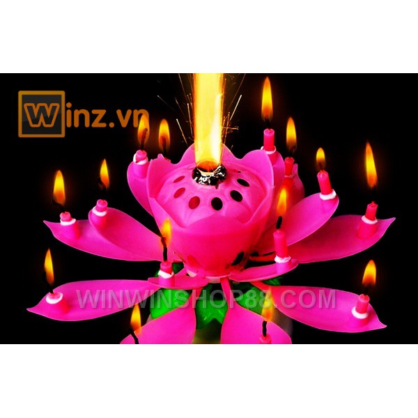 Nến sinh nhật nở hoa và phát nhạc - Muasamhot1208