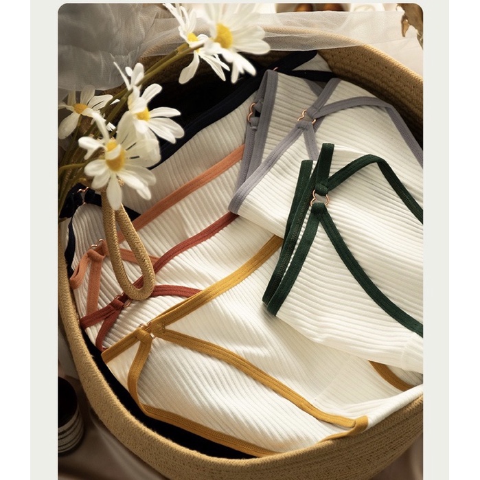 Quần lót cotton viền màu