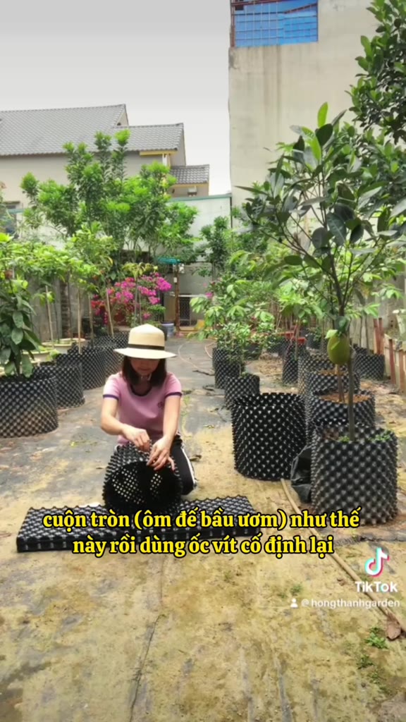 1m Bầu Ươm cao 30cm (tặng ốc vít) - Bầu Ươm Cây Thông Minh Hồng Thanh Garden, Ươm Vườn Hoa Cây Cảnh, Cây Ăn Quả | BigBuy360 - bigbuy360.vn