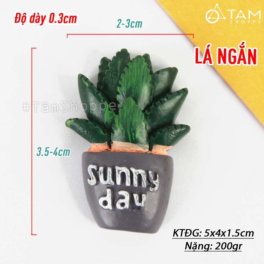 Mô hình nam châm hít tủ lạnh chậu cây xương rồng HTL-01