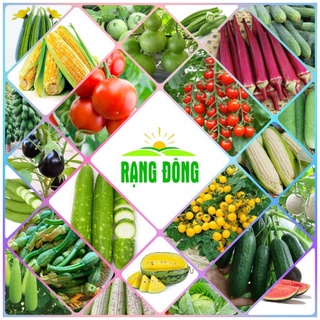 Hạt giống Rau Củ Quả Trồng Chậu, Trồng Quanh Năm - Hạt giống Rạng Đông