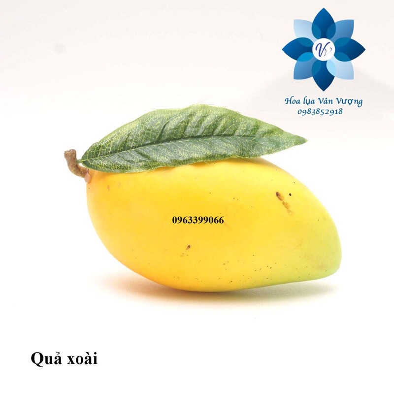 Trái cây giả - quả giả bốn mùa giống thật 99%, hàng đẹp và sẵn kho