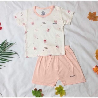 Bộ unchi petit