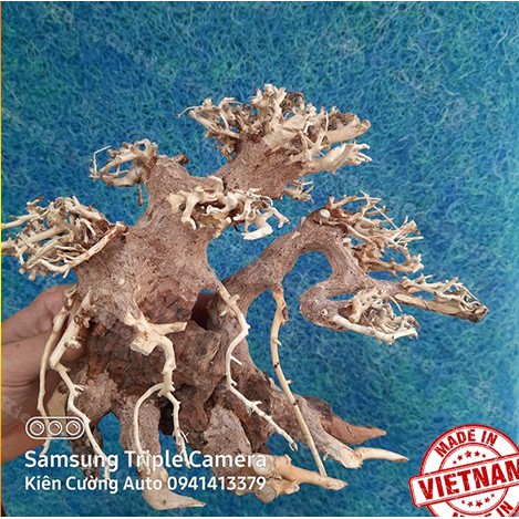 Mô hình Cây gỗ lũa thủy sinh Không tán SIZE Vừa dùng cho bể cá cảnh