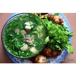 Hạt giống Cải Cúc 2500hạt ~20gram