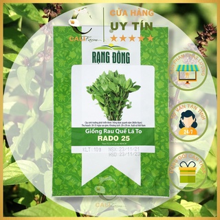 Hạt Giống Rau Húng Quế Rado 25 (10gr)