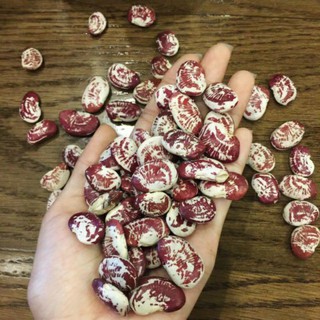 Đậu ngự 1kg