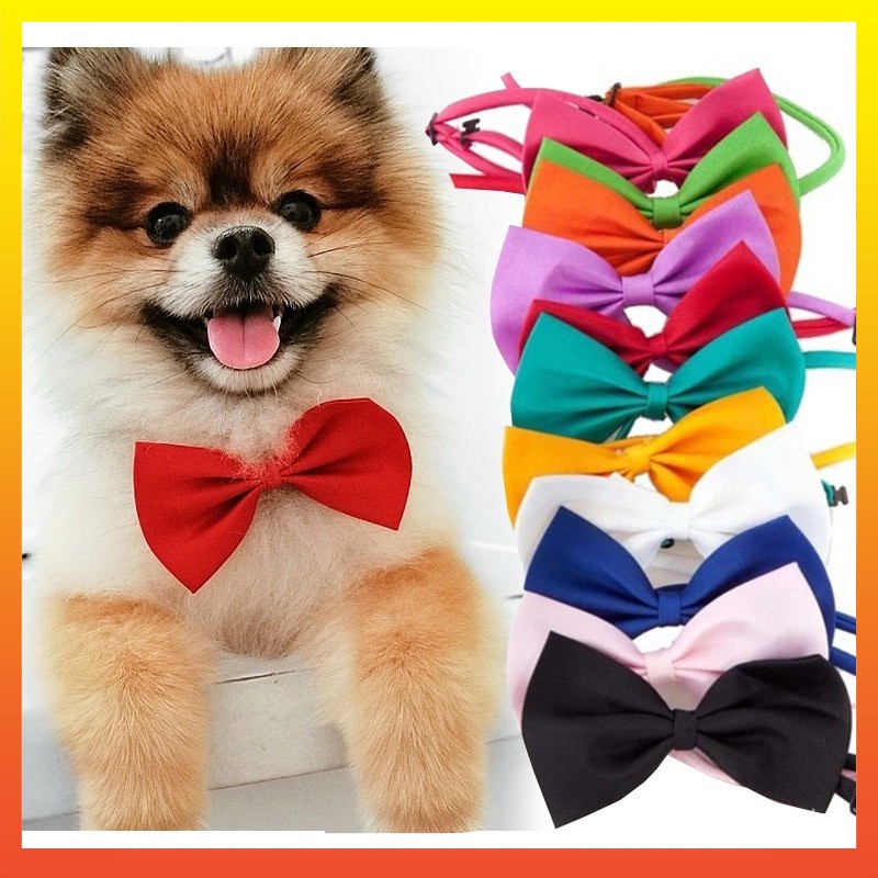 Vòng Cổ Nylon MàU Trơn Cho Thú Cưng