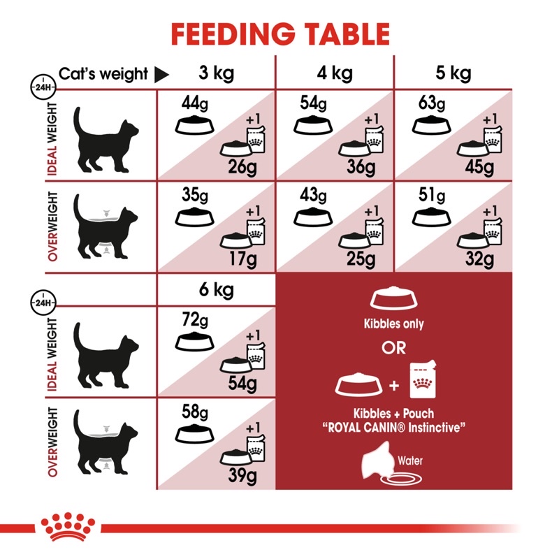 Hạt chiết Royal Canin Kitten/Indoor/Fit 32 - Hạt chiết cho mèo