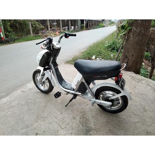 Xe đạp điện Nijia