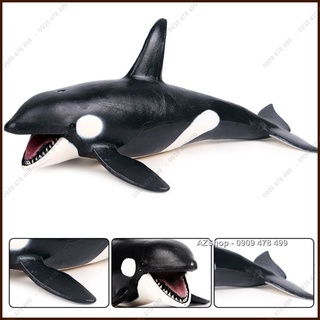 Mô Hình Cá Voi Sát Thủ - Hunter Whale 20cm - 7673.8