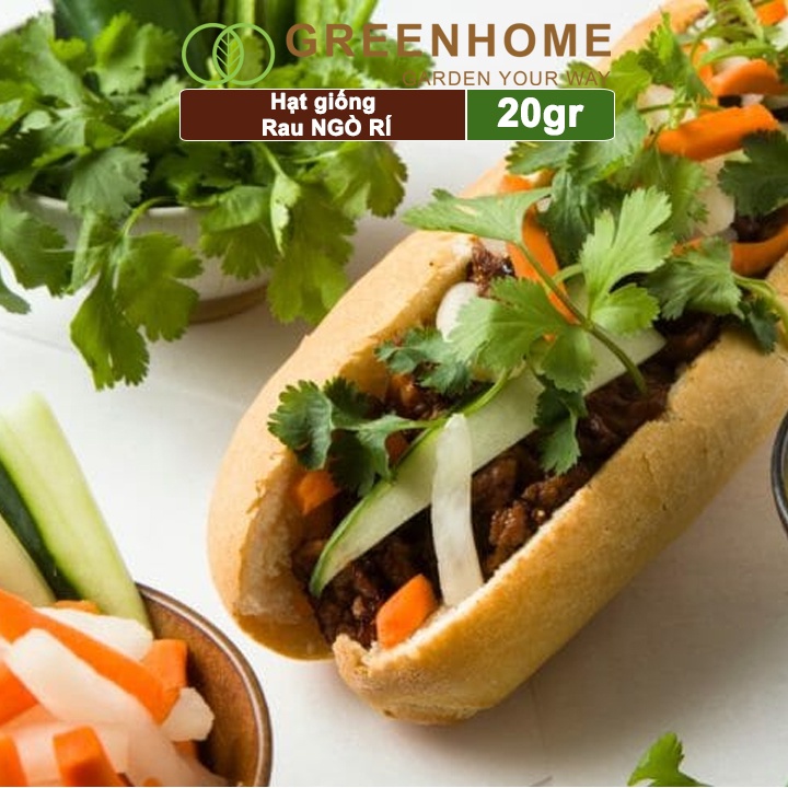 Hạt giống rau ngò rí Greenhome, gói 20gr, sinh trưởng tốt, kháng bệnh tốt, thu hoạch nhanh G03
