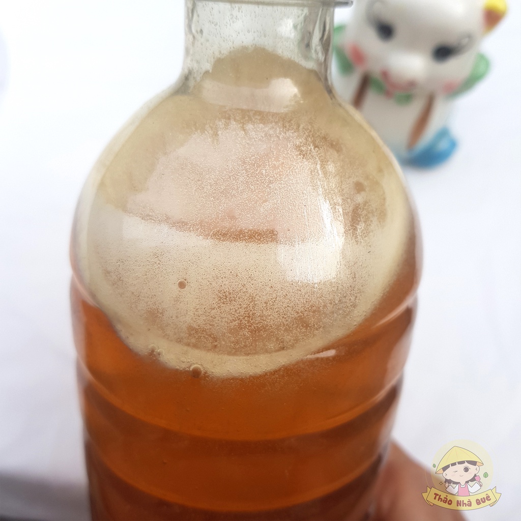 Mật ong rừng hoa cà phê Daklak nguyên chất 100% cao cấp chai 1 lít