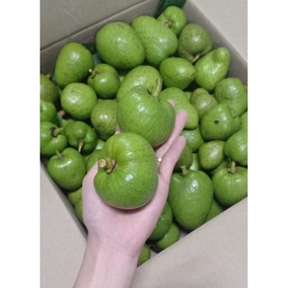 Trái bình bát tươi { quả bình bát} 1kg