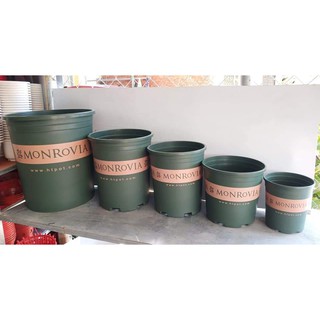 Chậu nhựa Monrovia Trung Quốc - Chậu trồng cây