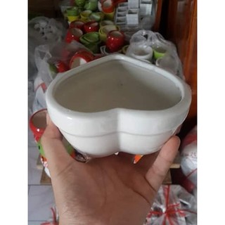 Chậu trồng cây: sứ tim đơn nhỏ