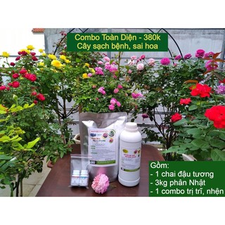 combo chăm sóc hoa hồng, cây cảnh toàn diện