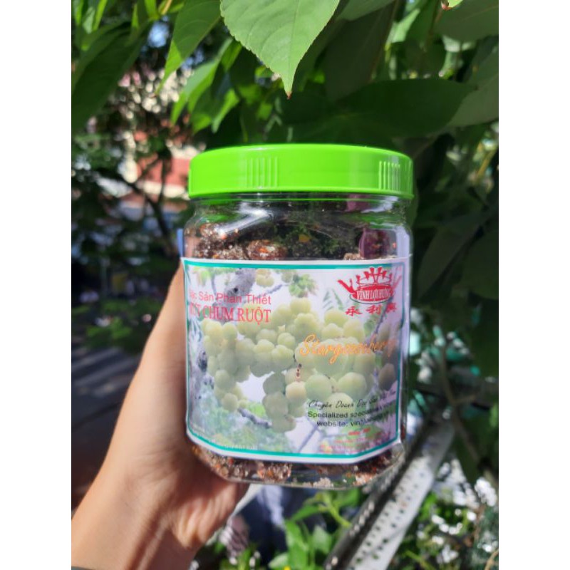 Chùm Ruột Cay Vị Chanh Muối | BigBuy360 - bigbuy360.vn