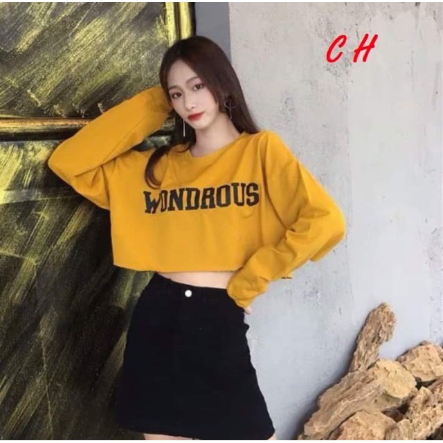 [FREESHIP ĐƠN TỪ 50K] Áo croptop WONDROUS dài tay COH0919