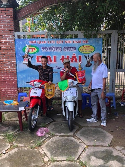 Móc Treo Lồng Chim - Móc INox Chữ A Treo Lồng Chim ;