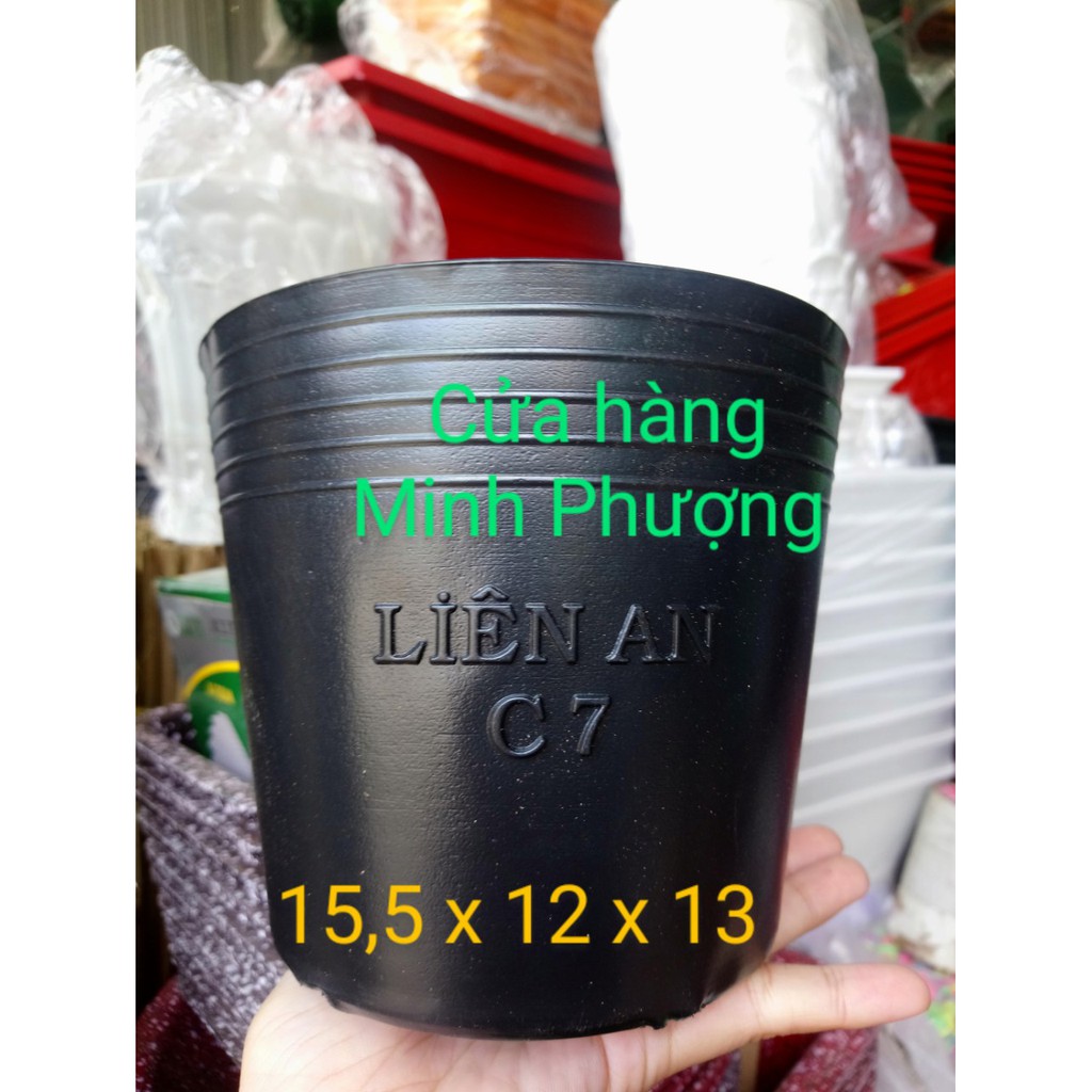 Chậu nhựa đen C7 lớn (50 cái)