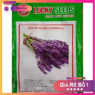 Hạt Giống Hoa Oải Hương ( Lavender 100 hạt) LUCKY.VN