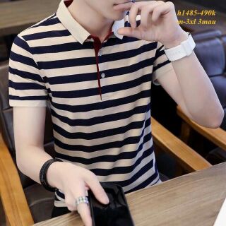 Áo cổ bẻ kẻ sọc SN092 ACM057