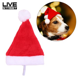 Nón Noel xinh xắn cho thú cưng