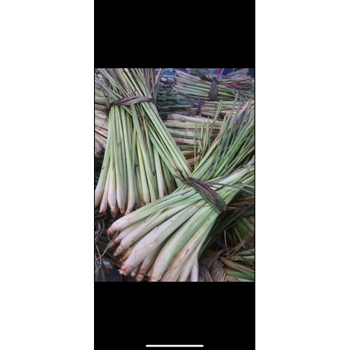1kg sả tươi giá tại vườn ( có nhận sỉ SLL)