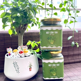 [HCM] Bột cần tây sấy lạnh nguyên chất