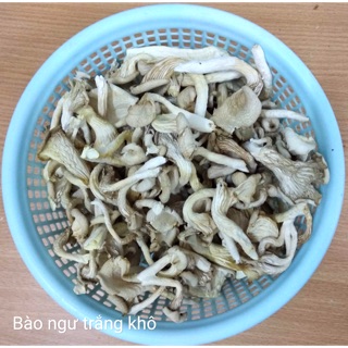 [FREESHIP 99K TOÀN QUỐC] NẤM BÀO NGƯ TRẮNG KHÔ 60k/100gr