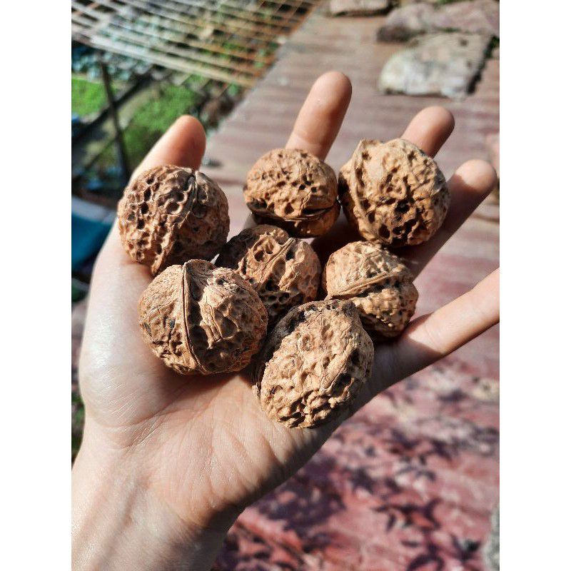 500gr Quả Óc Chó Vàng Sấy Khô Nhập Mỹ (Chất lượng cao)