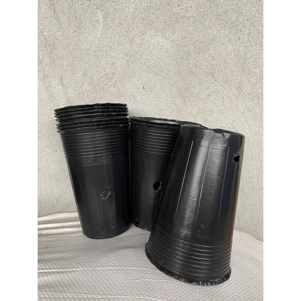 BẦU ƯƠM CÂY GIỐNG MÃ C15 (VIÊN NÉN XƠ DỪA, BẠT PHỦ ĐẤT CHỐNG CỎ, KEO LIỀN SẸO CÂY...)