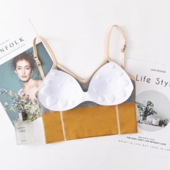 [VUA GIÁ SỈ]ÁO BRA TẬP HỞ LƯNG M836 CHO NỮ mới về | BigBuy360 - bigbuy360.vn