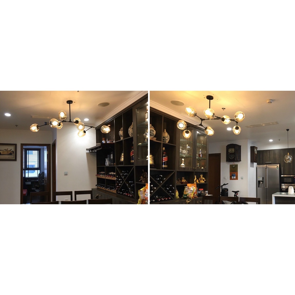 Đèn chùm thả MONSKY ASLEY MAXWEL 8 bóng cao cấp sang trọng
