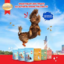 [Mã 208FMCGSALE giảm 8% đơn 500K] Bánh thưởng cho chó Smartheart snacks gói 100g đồ ăn vặt cho cún cưng Con Mèo Xiêm