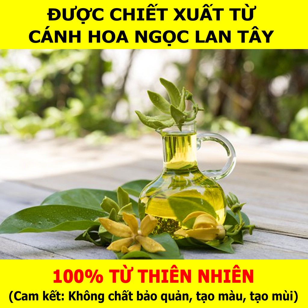 COMBO 2 LỌ 10ML _ Tinh Dầu Ngọc Lan Tây VIDAME - Hương thơm ngọt ngào, quyến rũ