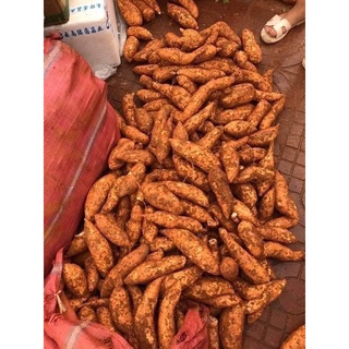 Khoai lang mật