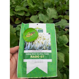 Gói 50Gr Hạt Mầm Giá Đậu Xanh Rado 07, Thu Nhanh trong 5_7 ngày, Tỷ Lệ Nảy Mầm Cao, Trồng Quanh Năm