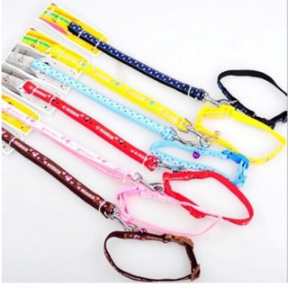 [LOẠI 1] Dây dắt kèm vòng cổ cho chó mèo, thú cưng chính hãng Hele. Độ dài 1.2m (Giao màu ngẫu nhiên)