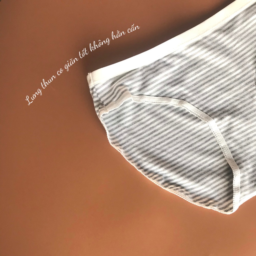 Quần Lót nữ Cotton Organic Lưng Vừa Thoải Mái Daphne (Mustoto MQ15) | BigBuy360 - bigbuy360.vn