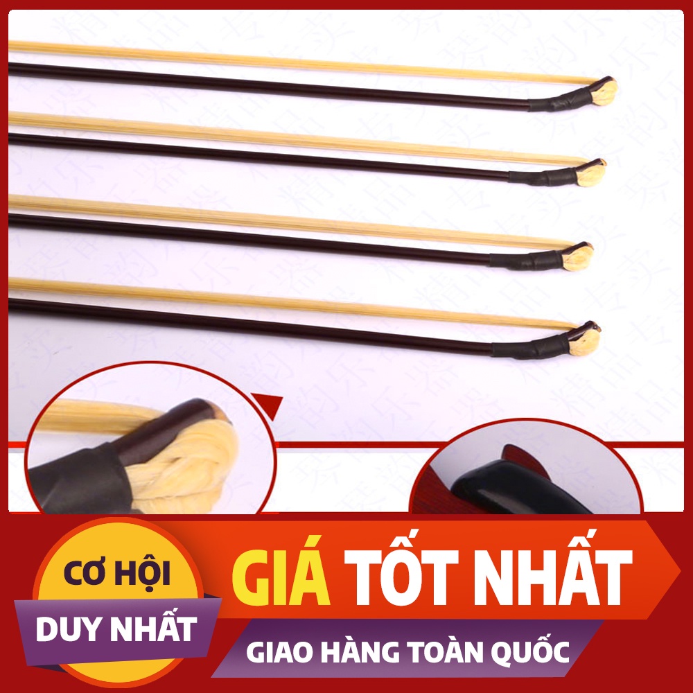 Vỹ Đàn Nhị Cao Cấp