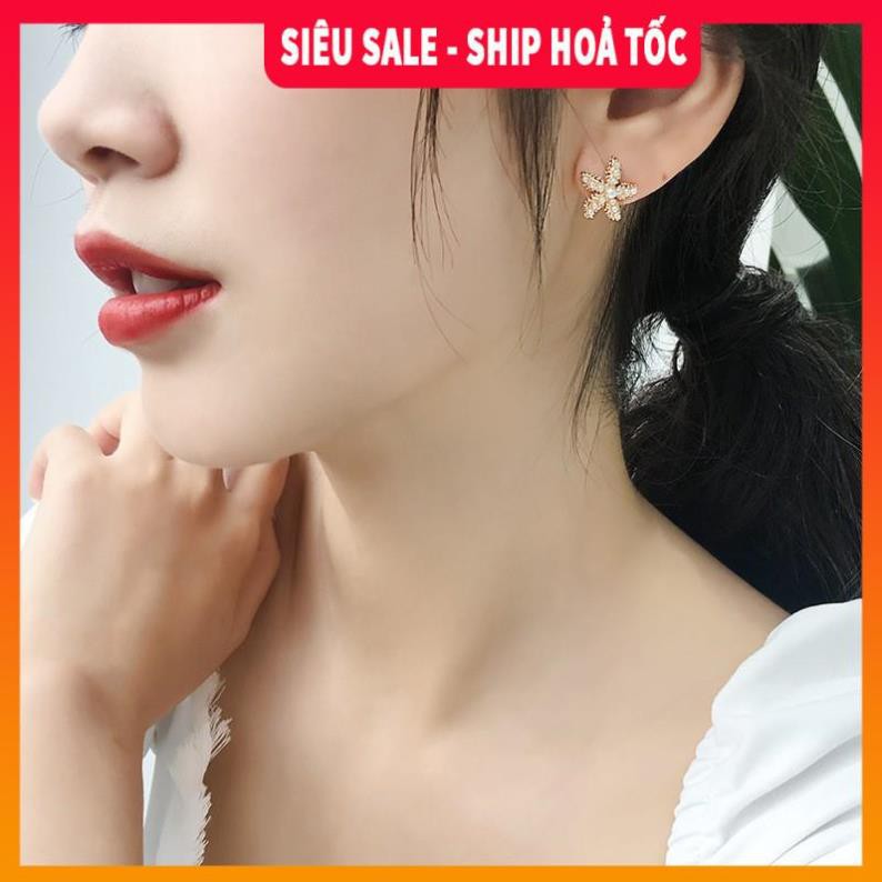 Có ảnh thật 🌸Tặng chốt khuyên🌸 Bông tai đính đá hình sao biển| Khuyên tai nữ đẹp - Wink Accessories L1AS04