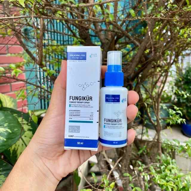 Alkin fungikur trị gầu trị viêm da cho chó mèo