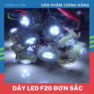 Dây led f20 đơn sắc điện áp 12V DC 30 led/dây, làm chữ quảng cáo,bóng chống nước.