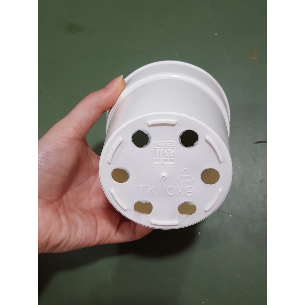 Chậu nhựa cứng 10x9 (cm) trắng ngà (màu kem) !